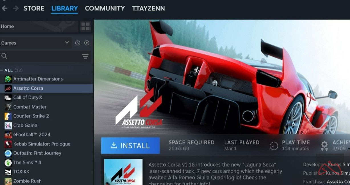 اکانت استیم اسستو کورسا (Assetto Corsa)