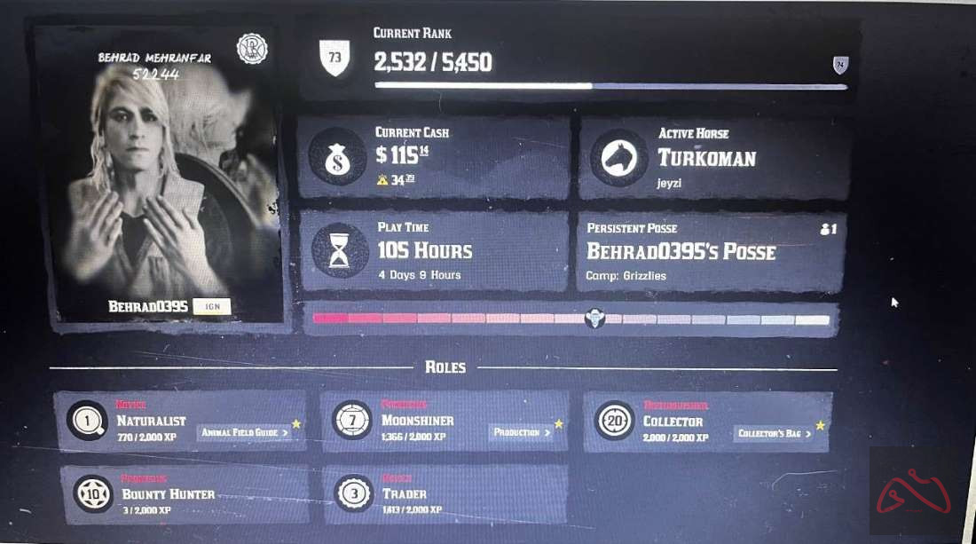 اکانت استیم Red Dead Online